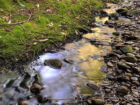 Water runs through rocky creek.