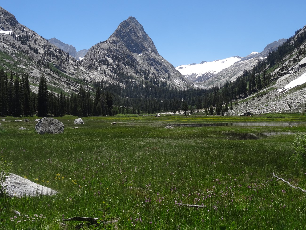 Lush green meadow with views of granite peak, Kings Canyon National Park