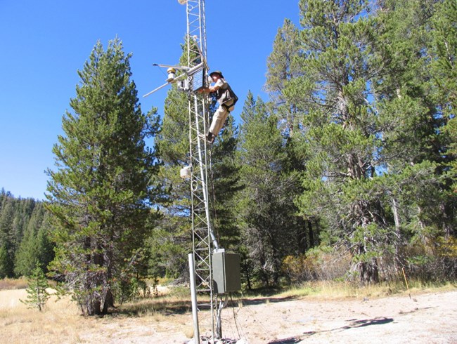 Scientist climbs weather station tower to make equipment adjustments near Soda Springs Meadow at Devils Postpile National Monument.