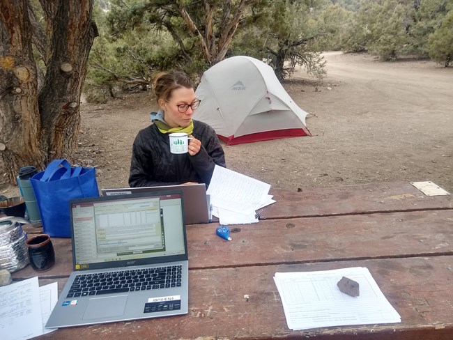 Field scientist sits at picnic table in a campground entering bird monitoring data on a laptop.