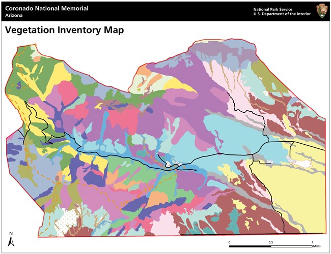 Map of Coronado National Memorial with multiple color fields indicating the location of different vegetation types