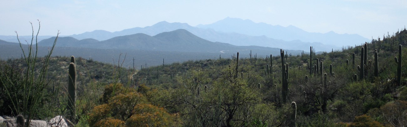 Distant mountain view, Saguaro National Park