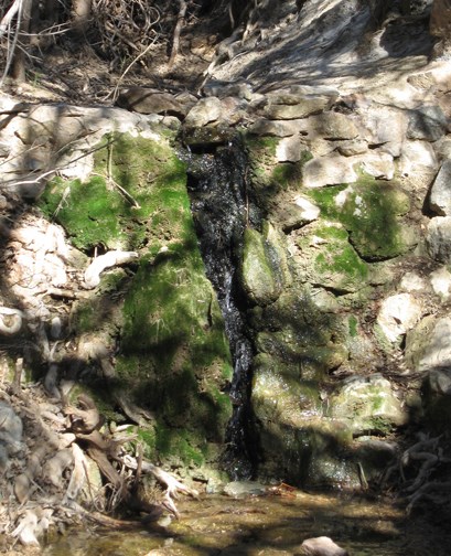 Apache Spring Apache Spring