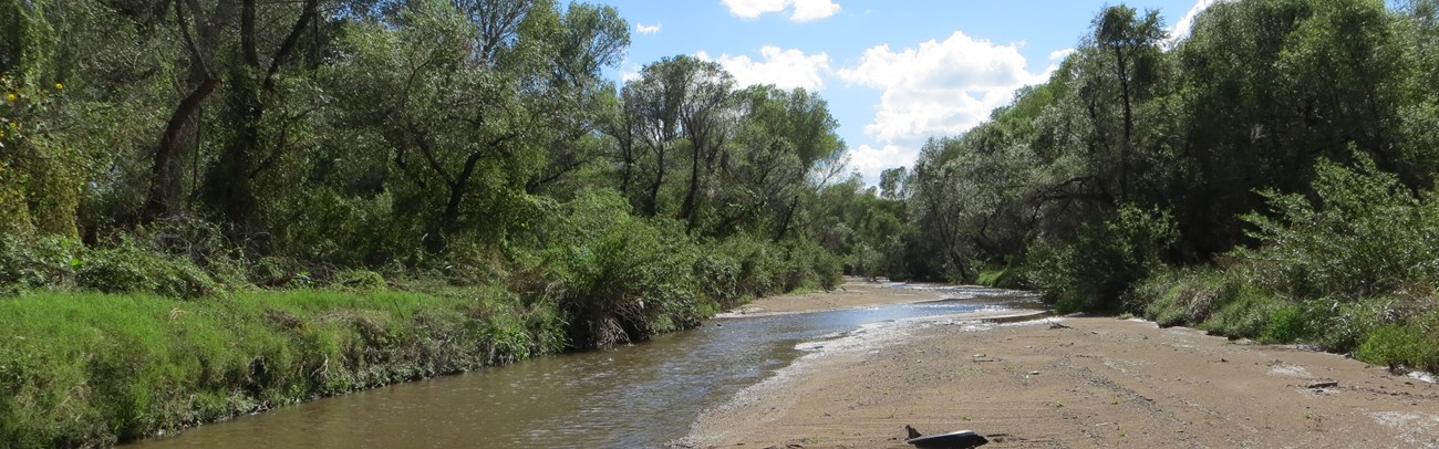 Santa Cruz River Santa Cruz River