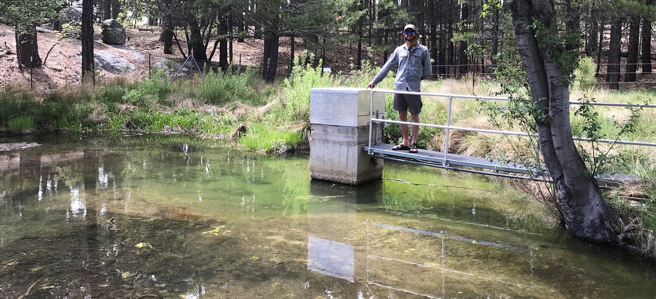 Man stands on platform near springbox over large pool