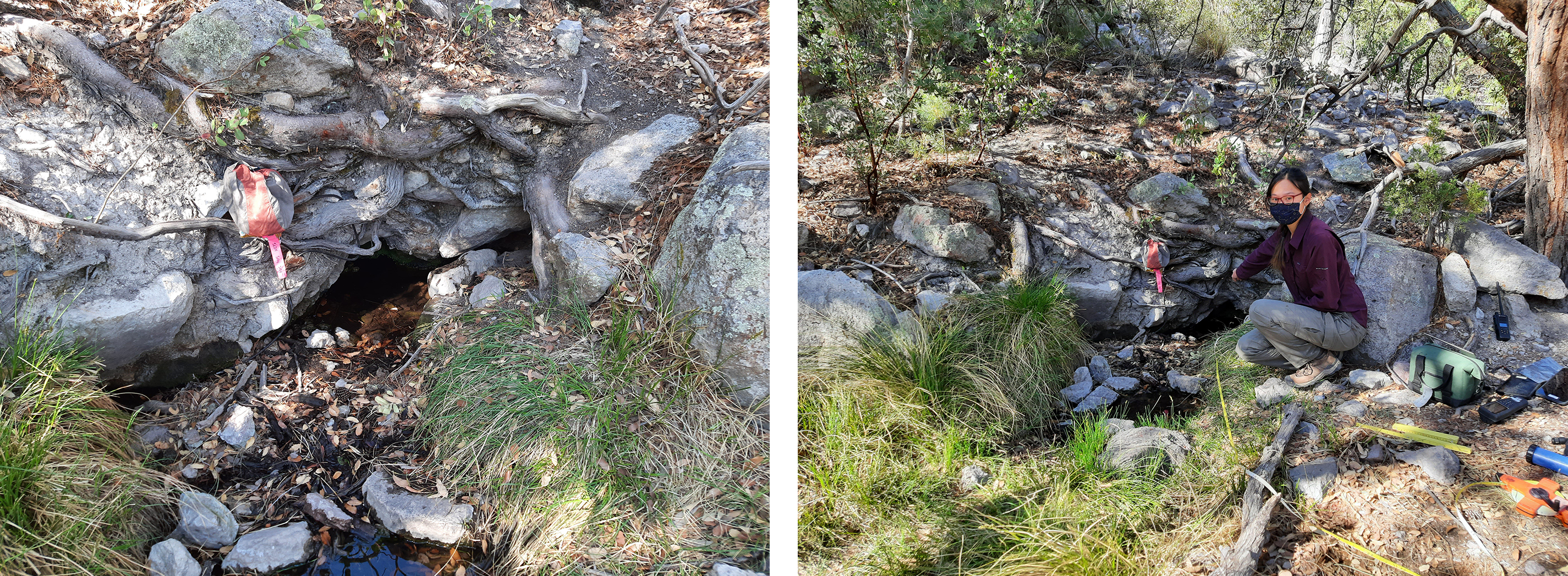Garfield Spring. Garfield Spring.
