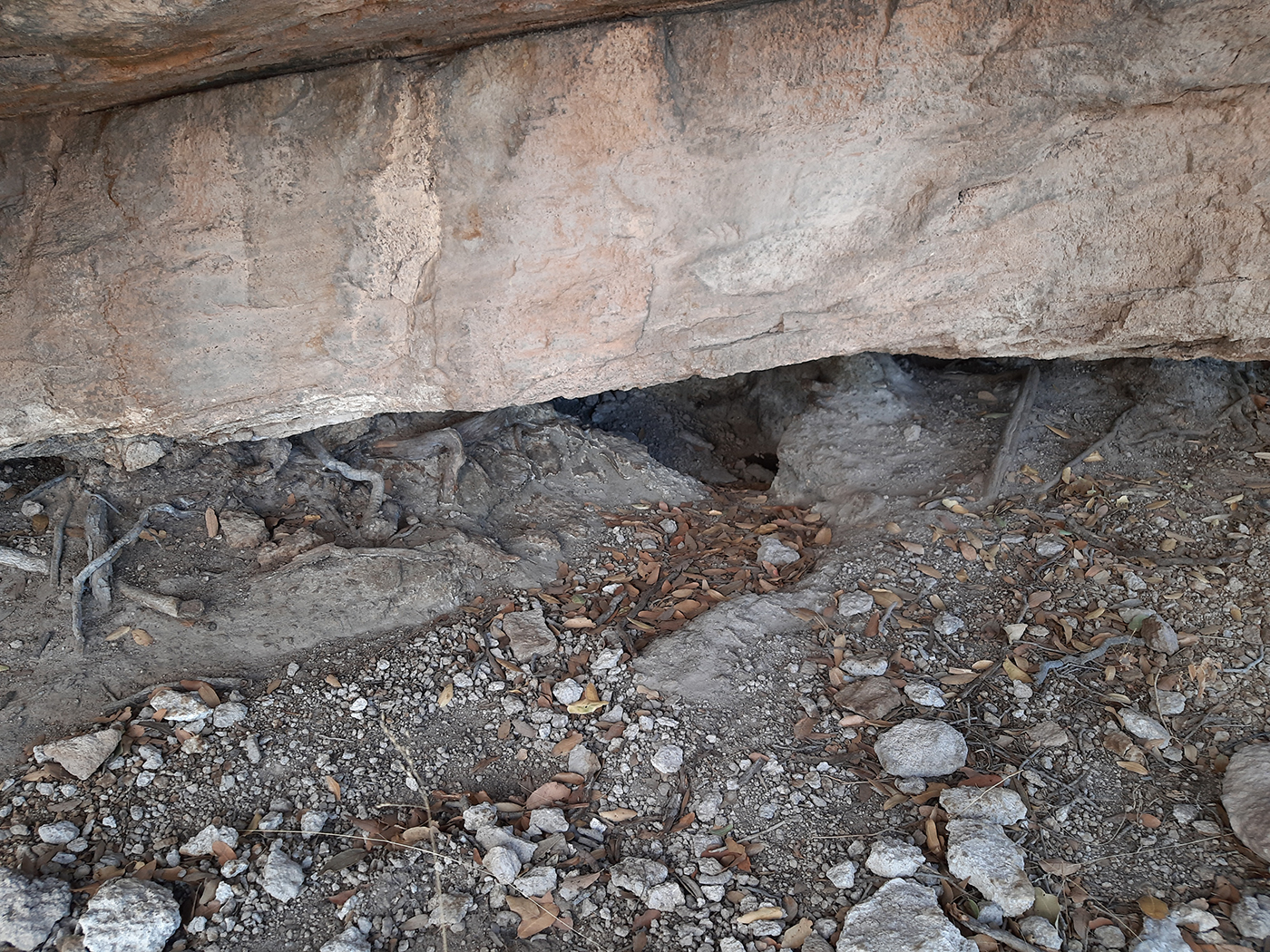 Newton Cave Seep. Newton Cave Seep.