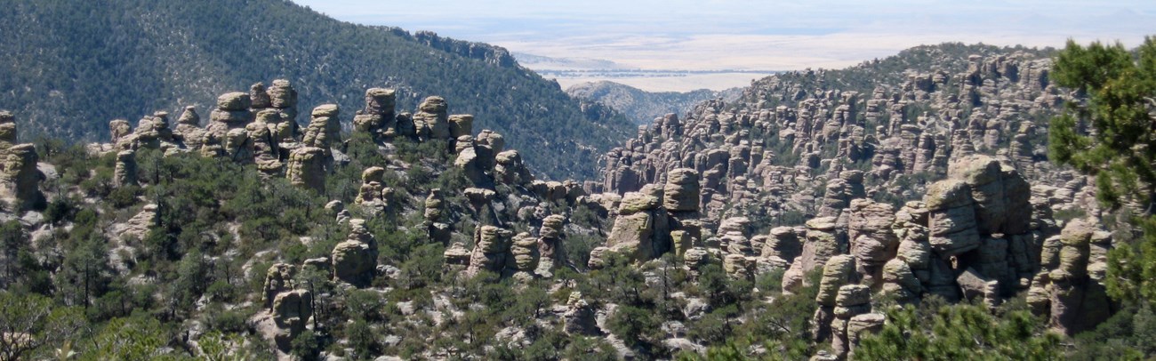 Hoodoos, Chiricahua National Monument Hoodoos, Chiricahua National Monument