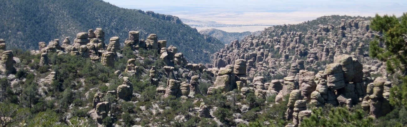 Hoodoos, Chiricahua National Monument