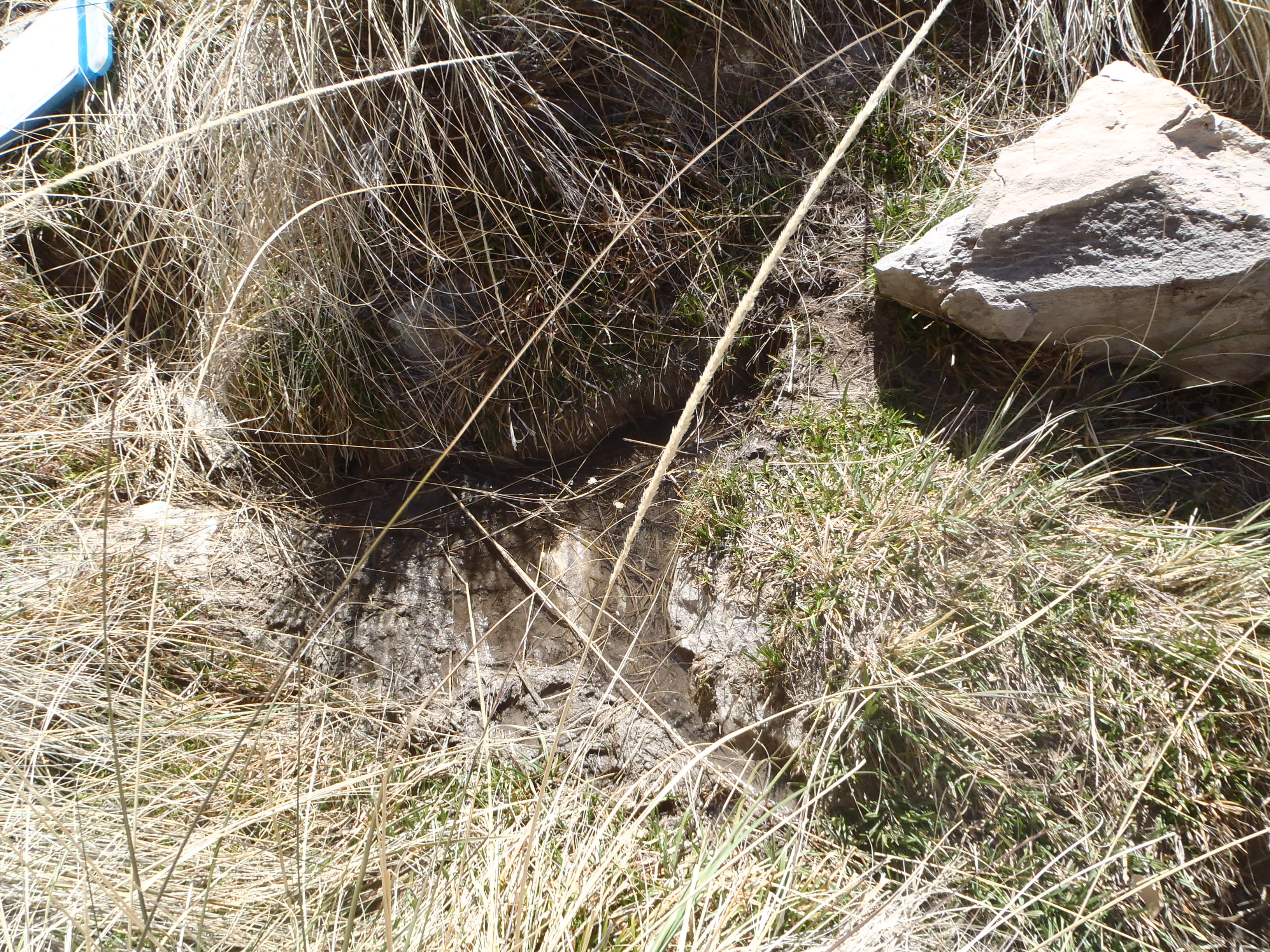 Cave entrance on desert hillside.