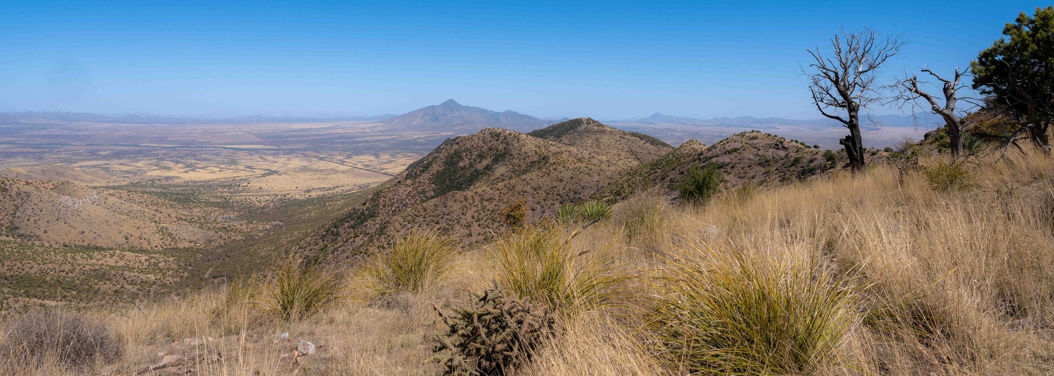 View of desert valley and mountains from mountaintop