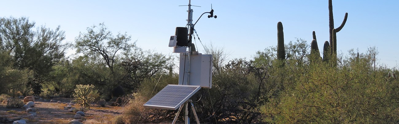 Solar-powered climate monitoring station amid desert vegetation