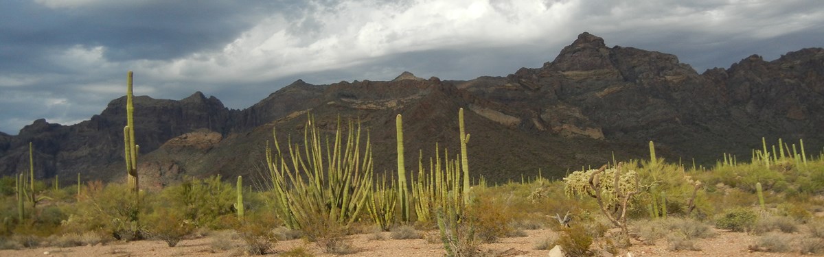 Clouds over Organ Pipe Cactus National Monument Clouds over Organ Pipe Cactus National Monument