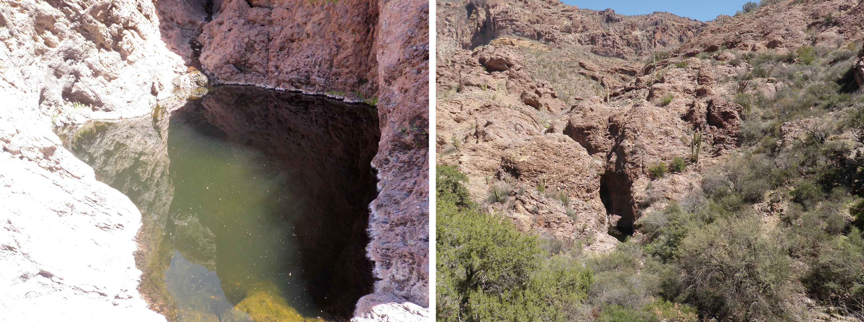 Two photos. At left, an opaque green pool in pinkish bedrock. At right, a rocky desert landscape with a dark oval in the middle of the frame.