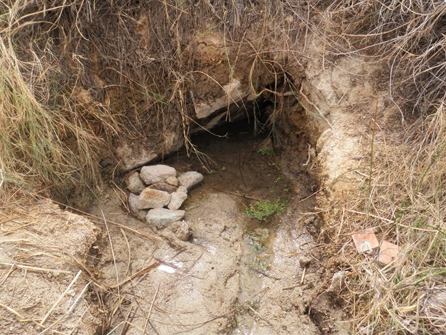 A small pool surrounded by a grassy dirt bank and a small pile of rocks.