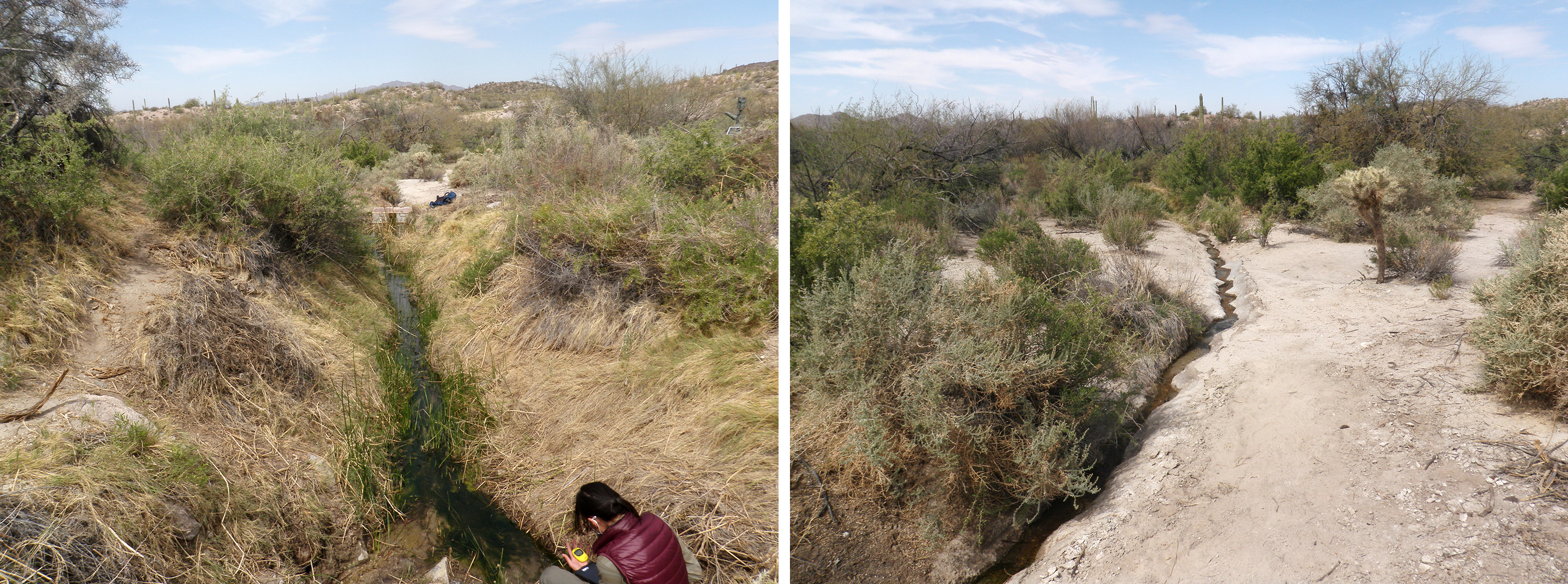 Two photos. At left, a thin stream of water passes through dried grasses and desert shrubs. At right, an even thinner squiggly stream passes over cement.