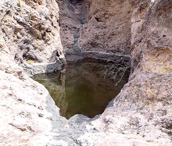 A small pool in a bedrock, with a white "bathtub ring" above the waterline.