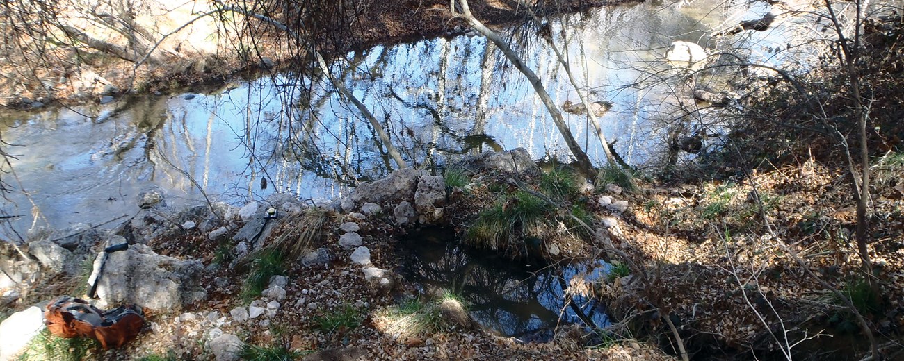 A stream runs past a small pool in a riparian area with fallen leaves.