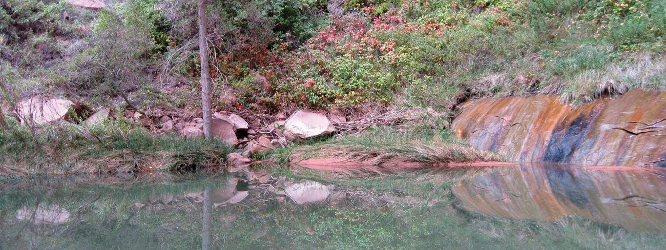 Sleepy Hollow Spring, Arches National Park Sleepy Hollow Spring, Arches National Park