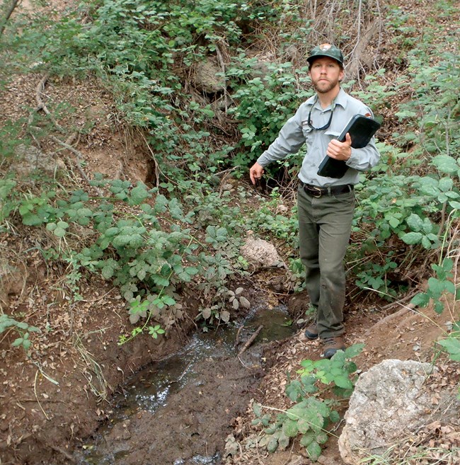 Man in NPS uniform points down at small flow of water in riparian area.