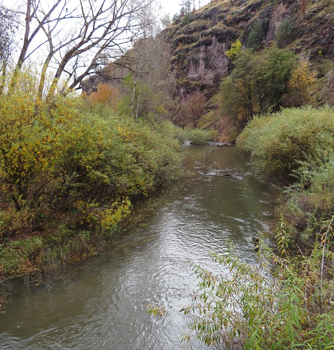 Stream flows through riparian area below high cliff on right