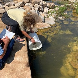 Man writes on clipboard as woman empties a buckey of small fish into a water feature.