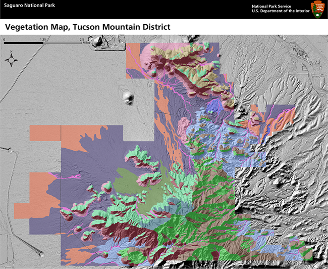 TMDPolyMap Map of Saguaro National Park's Tucson Mountain District with color fields showing the location of plant communities