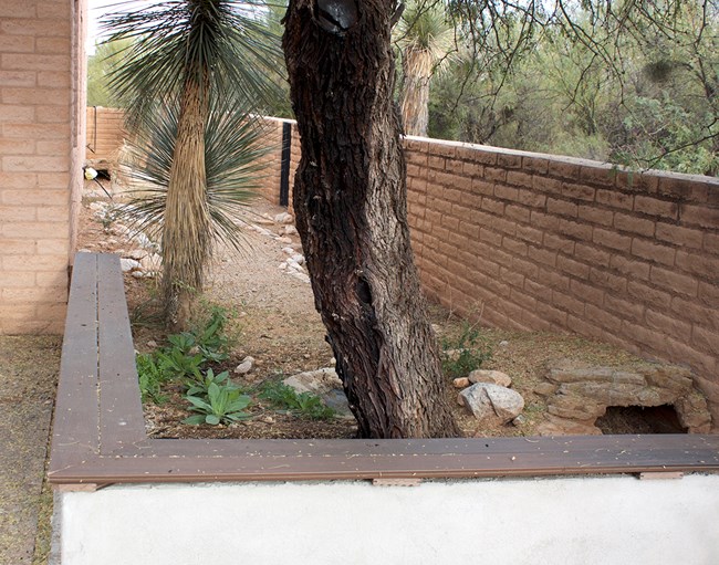 Tortoise habitat Tortoise habitat with two burrows and wall