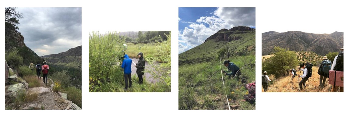 Four photos of people doing scientific field work in a desert setting.