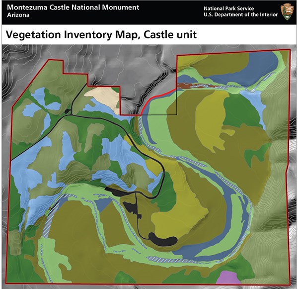 Map using color fields to show location of vegetation communities