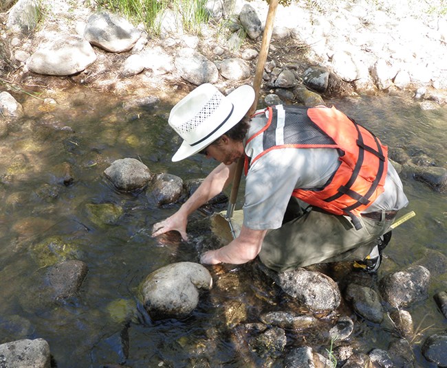 Man crouches in shallow river with a kicknet