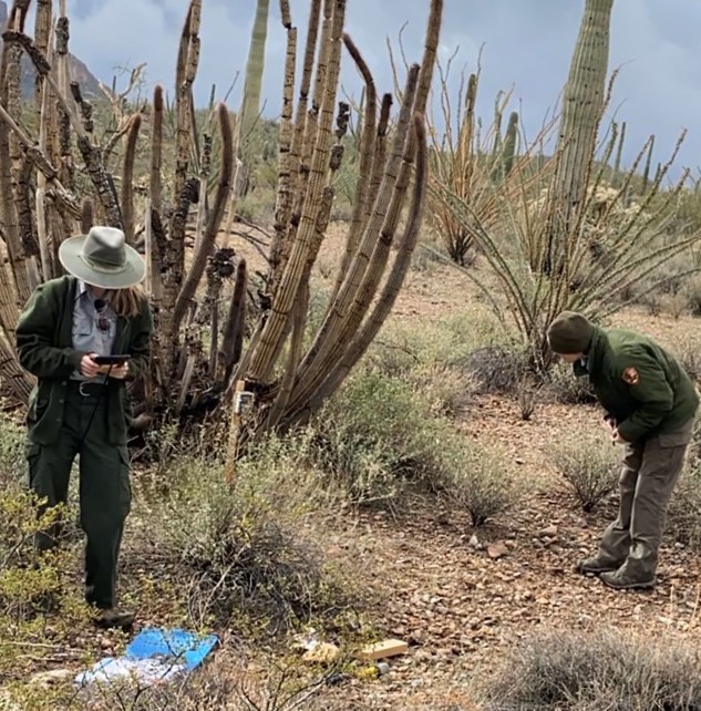 Two women in NPS uniform stand near a wildlife camera mounted to a post