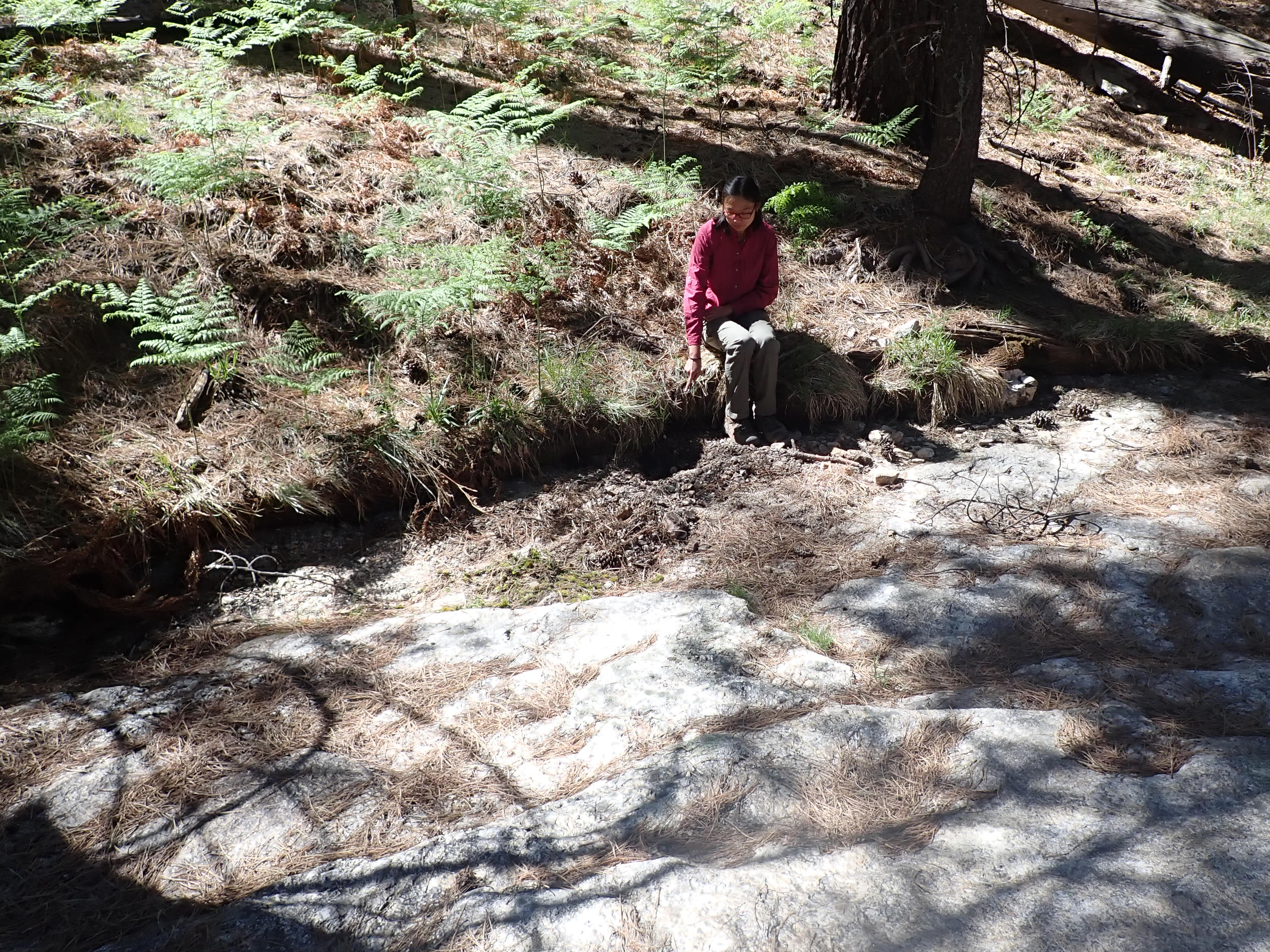 Mica Meadows Trail Seep 1