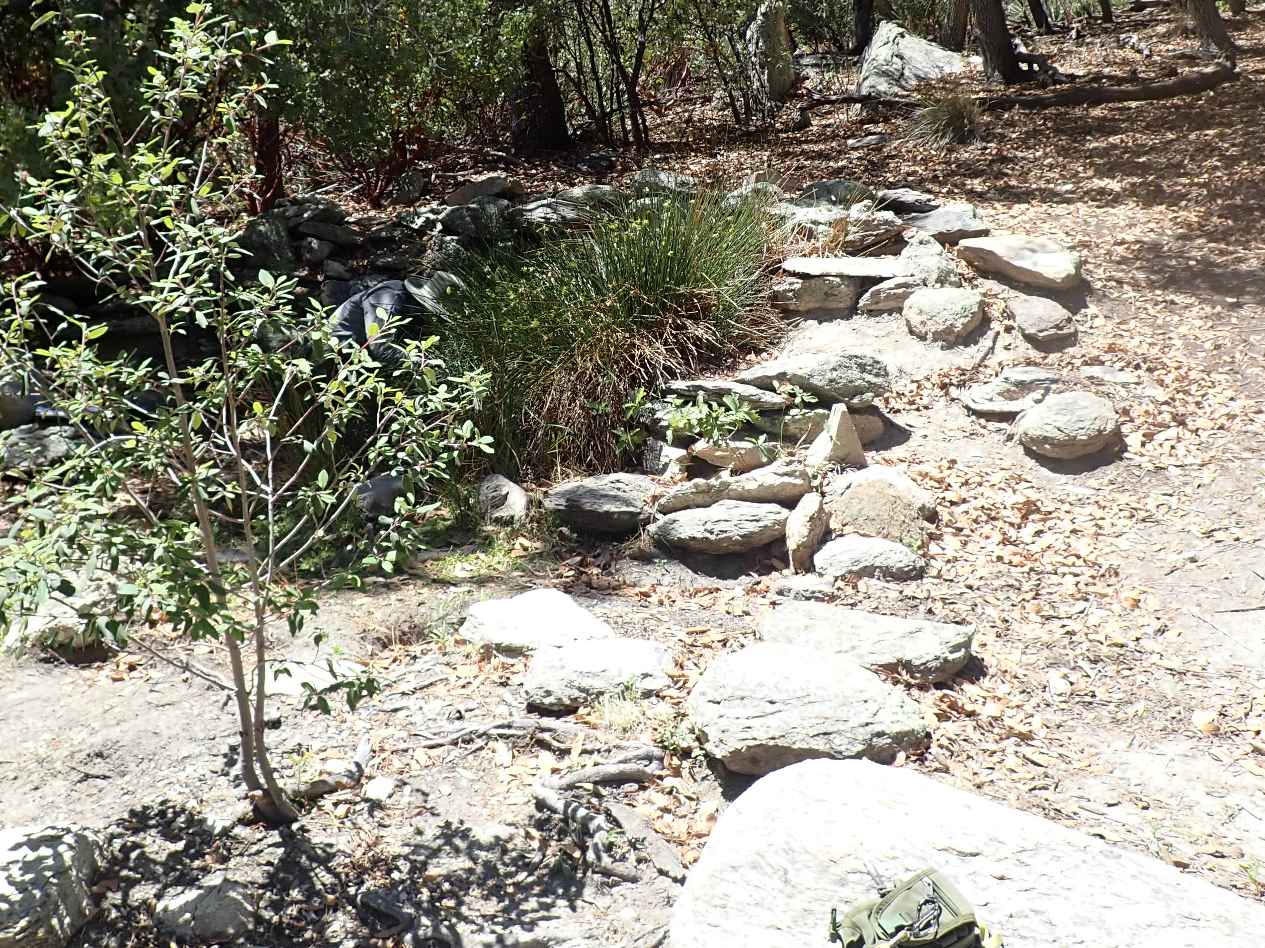 Mud Hole Spring