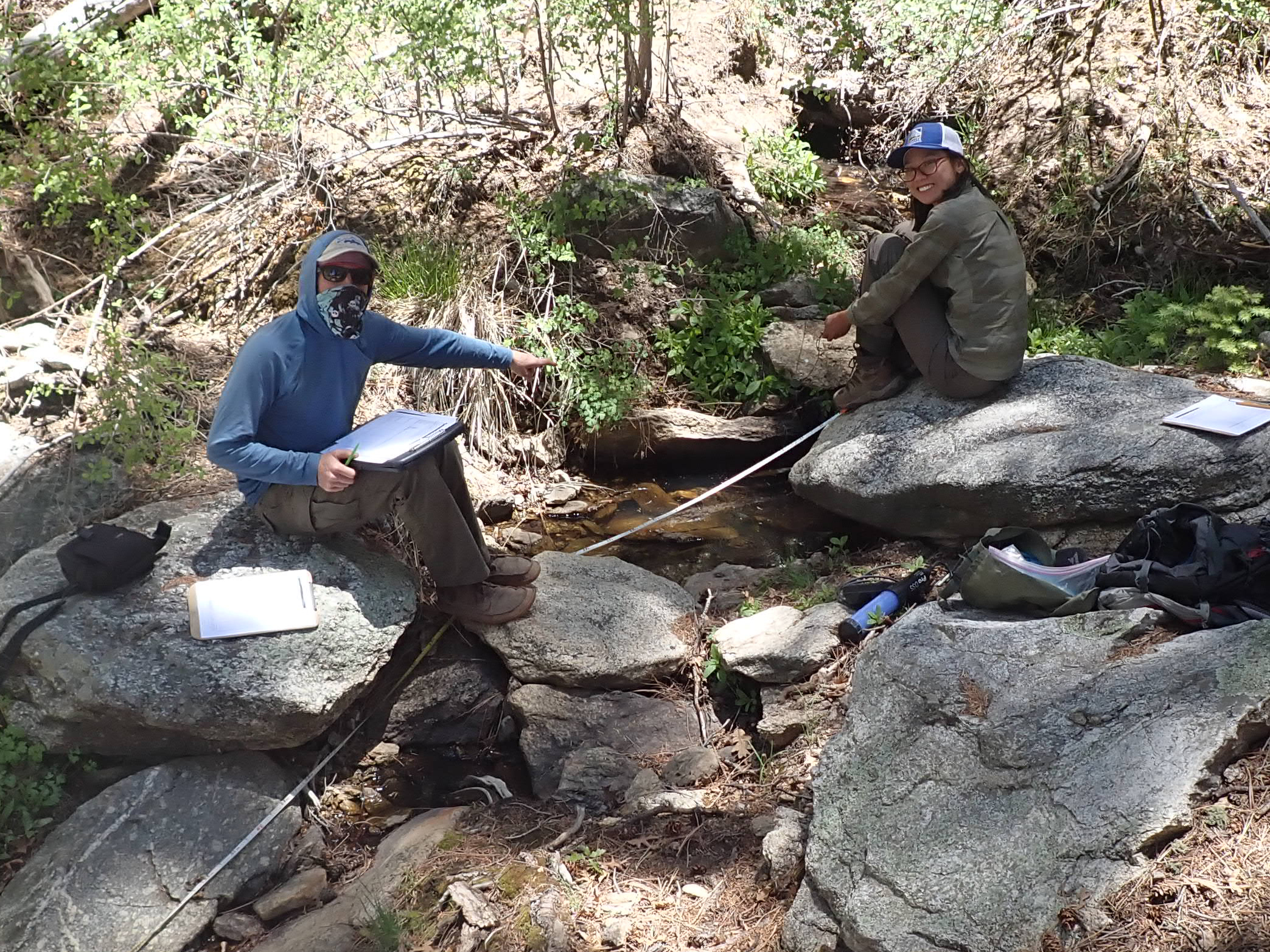 Upper Joaquin Spring