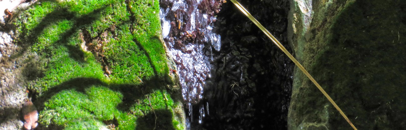 Apache Spring Green moss grows next to water flowing down a rock wall