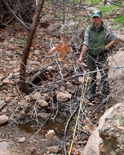 Cave Canyon Spring Woman in NPS uniform points down at spring orifice