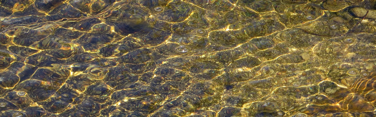 Tinaja waters, Saguaro National Park Tinaja waters, Saguaro National Park