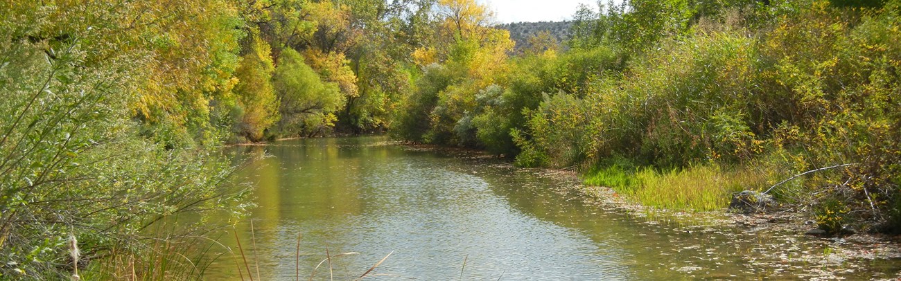 Beaver Creek, Montezuma Castle National Monument