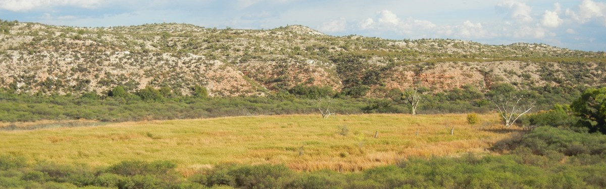 Tavasci Marsh, Tuzigoot National Monument