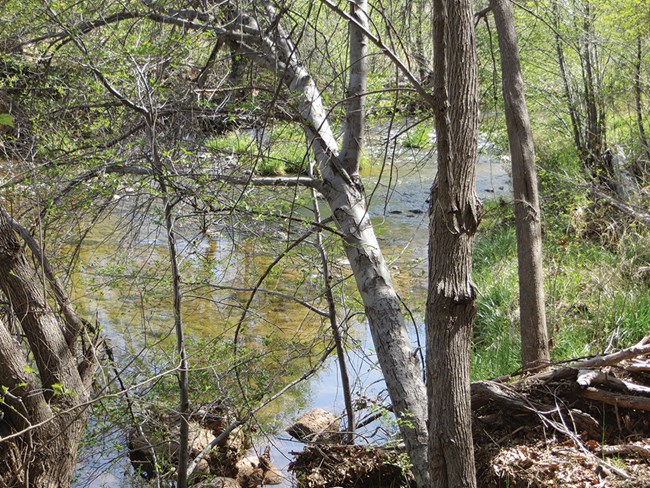 Wet Beaver Creek, Montezuma Castle National Monument