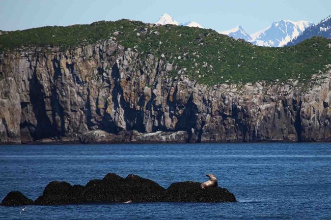 Steep, rocky cliffs along the coast of Kenai Fjords.