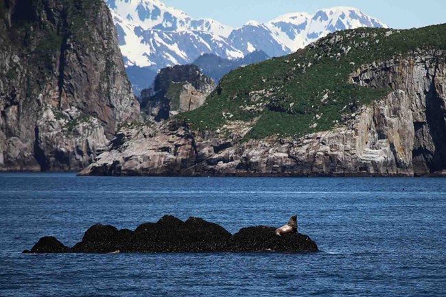 A steep, rocky coast with mountains in the background.