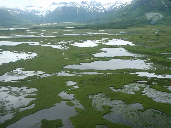 An aerial view of a large salt marsh.