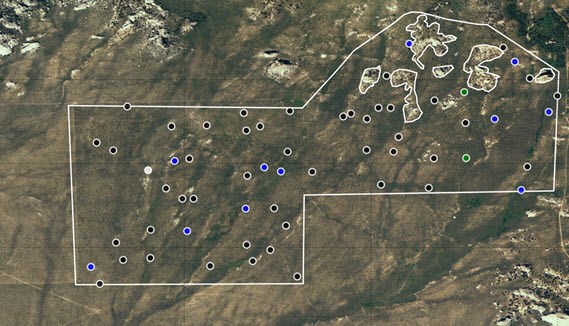 Vegviz_map Portion of a map generated by VegViz