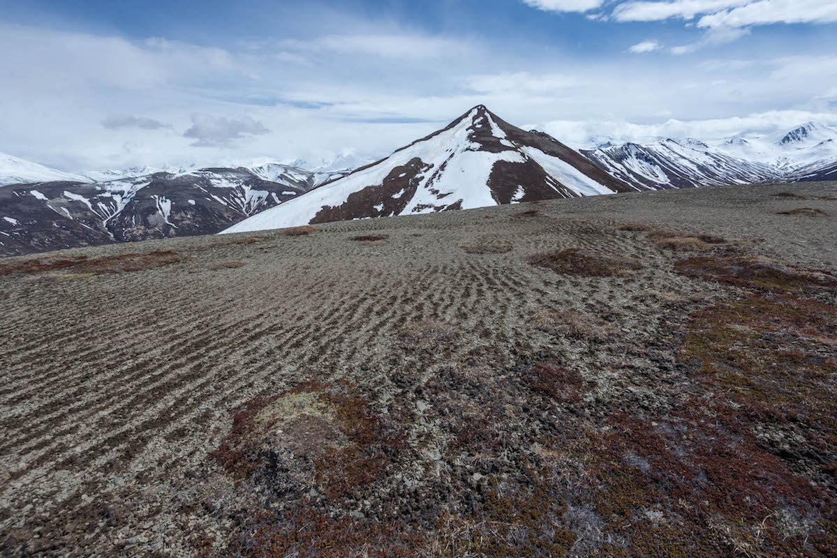 Wind creates streaks in the gravel covered ground