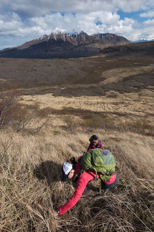 two women inspect growing vegetation