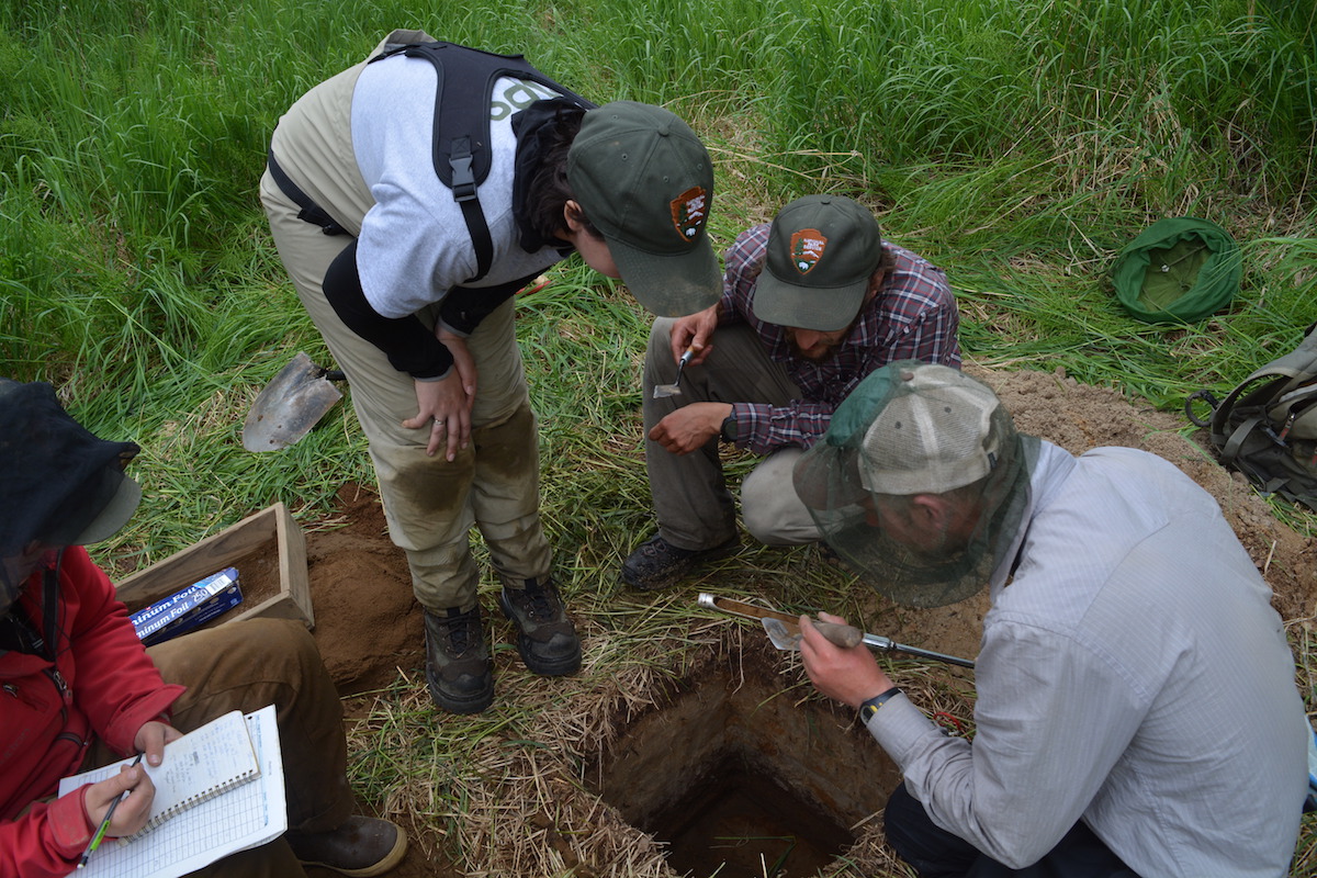 Archeologists sift through a soil sample
