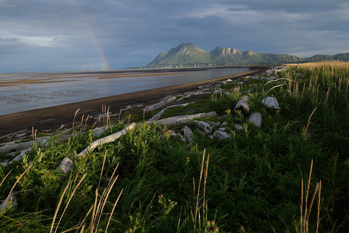 A rainbow above a beach