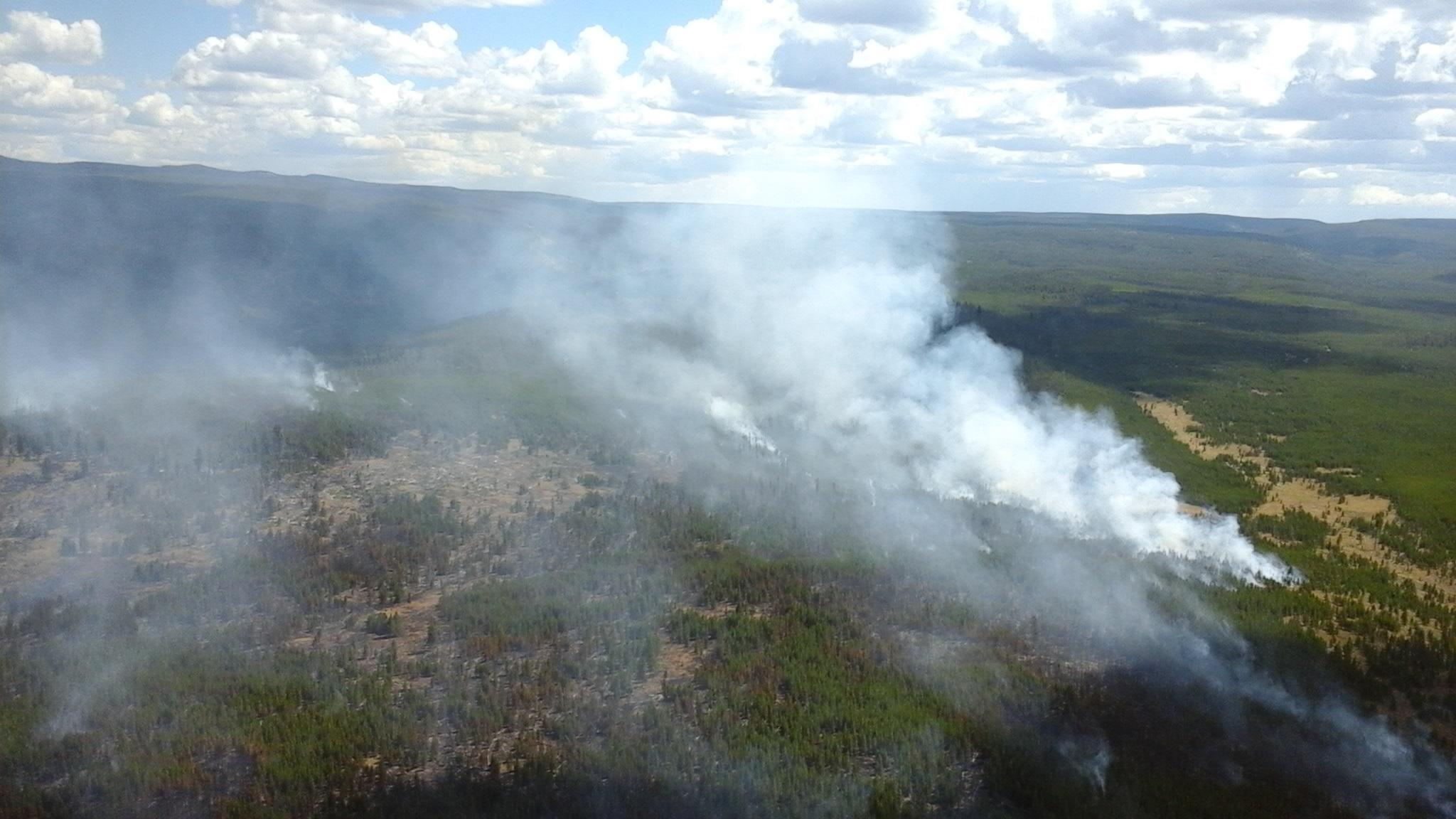 View of the Maple Fire taken August 11, 2016 View of the Maple Fire taken August 11, 2016